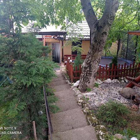Hotel Casa Rool à Turda Extérieur photo