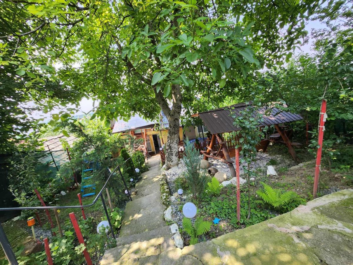 Hotel Casa Rool à Turda Extérieur photo